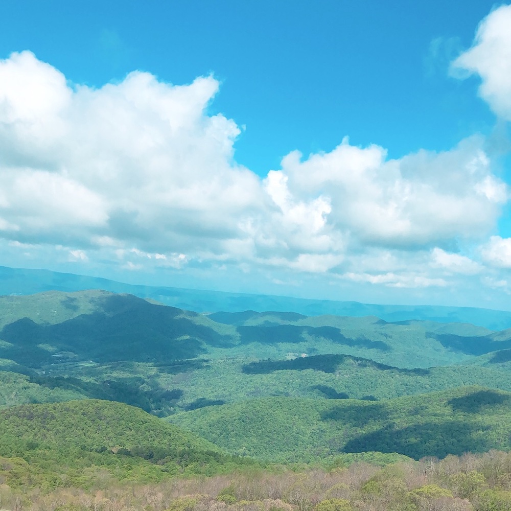 Meet your Posher, Sofie